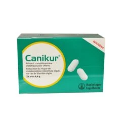 Canikur 24 Blisters De 4 Comprimés