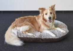 Flamingo Coussin Snoozzy Ovale Fermeture Eclair Brun 90x66x10cm 7 Flamingo Coussin Snoozzy Ovale Fermeture Eclair Brun 90x66x10cm -Flamingo || ROYAL CANIN || Trixie Soldes Boutique 637512647d721696dc3779cc78818d65a2760ed947c44a595a1ea79f07552dfb