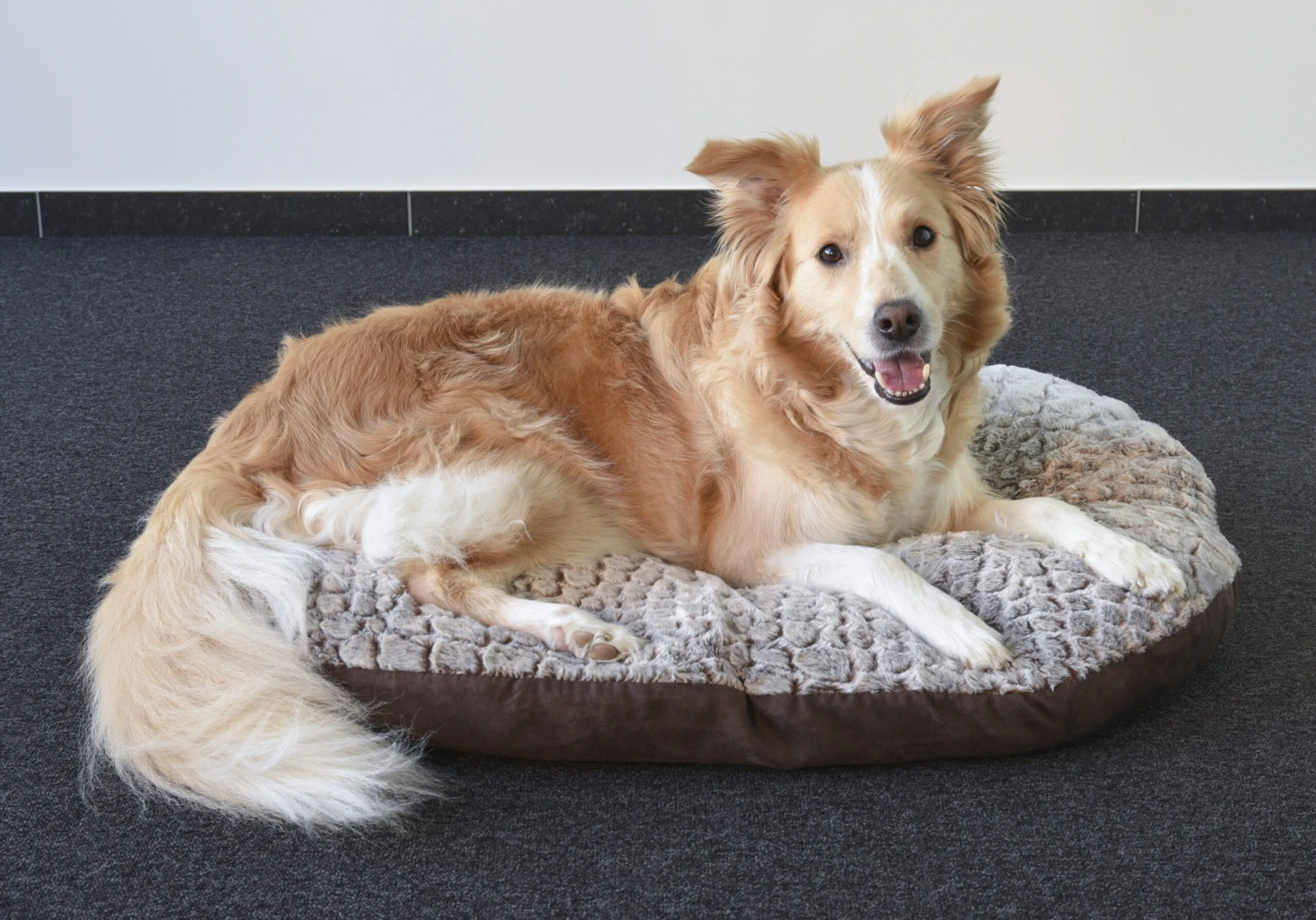 Flamingo Coussin Snoozzy Ovale Fermeture Eclair Brun 90x66x10cm 5 Flamingo Coussin Snoozzy Ovale Fermeture Eclair Brun 90x66x10cm – Image 3