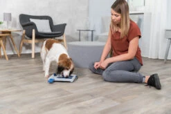 Trixie Jeu De Stratégie Pour Chien Mini Mover 25 X 20 Cm -Flamingo || ROYAL CANIN || Trixie Soldes Boutique 651eb7867f8946af7cf41f9ac1bbd13776f1ac8a5b17493ef8bf0c54cd8d3201