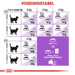 Royal Canin Sterilised Pour Chat 4kg -Flamingo || ROYAL CANIN || Trixie Soldes Boutique 65705f741b4a7291a475340ec6f05ff0a72b28caf4edd87aa2f986f944ce9ebe 1
