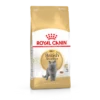 Royal Canin British Shorthair Pour Chat 10kg -Flamingo || ROYAL CANIN || Trixie Soldes Boutique 66e6c4e986d8c42e84a8455bc78e6355e02657c13279c6ab8101a5fd73ff7834