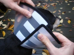 Flamingo Carcan Capo 38,5cm -Flamingo || ROYAL CANIN || Trixie Soldes Boutique 6a49ce8ac076c3841c6f50f7e51b24655faca046434a3c86371644c1769f8e05