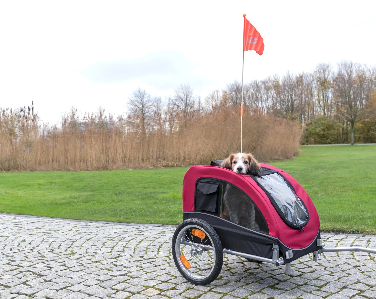 Trixie Remorque De Vélo Pour Chiens M: 63 × 68 × 75 4 Trixie Remorque De Vélo Pour Chiens M: 63 × 68 × 75 – Image 2