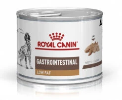 Royal Canin Gastro Intestinal Low Fat Chien -Flamingo || ROYAL CANIN || Trixie Soldes Boutique 71a62bc0b244a0a5cb4975f3ca4307921465dd9c5d4b77c304b9e5cad2f1a2bb