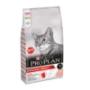 Purina Pro Plan Original Adult Chat Saumon 1 Purina Pro Plan Original Adult Chat Saumon -Flamingo || ROYAL CANIN || Trixie Soldes Boutique 7350c68c90afe8e82570a65e91d54541e2629c086d1ac7bd18aee9bcaf0a48f5