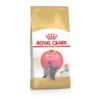 Royal Canin British Shorthair Chaton 2kg -Flamingo || ROYAL CANIN || Trixie Soldes Boutique 76d0c27720d8be3f26fef9af79fca283991a0766a0ae16725fdcb34b6413088f
