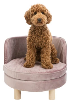 Trixie Sofa Livia Ø 48 × 40 Cm -Flamingo || ROYAL CANIN || Trixie Soldes Boutique 7cf804d07c0b98da47144c98fcd7ba8b2506d81134b4c31cdb0a08f1b7e275db