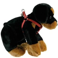 Harnais Mac Leather Rouge -Flamingo || ROYAL CANIN || Trixie Soldes Boutique 7fa2cc7bf2ad1ec1024d597f2fed499ec47bba7c76aba5ba669bf832ee56475f