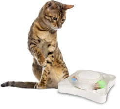 Flamingo Jouet Pour Chat Rouleau Orbit -Flamingo || ROYAL CANIN || Trixie Soldes Boutique 8197d5494eb4b09c0197fedf33f4490029fe0c13a33cf83ce23255affeedb826