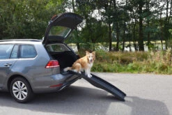 Flamingo Rampe Chien Pliante En Plastique 150x39,5x13 -Flamingo || ROYAL CANIN || Trixie Soldes Boutique 8357b81a52303b229e20b751700601a7d1358867f6a4d1c20febc5541aa06e6e