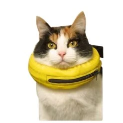 Collier Lune 9 Collier Lune -Flamingo || ROYAL CANIN || Trixie Soldes Boutique 86eaa3c4e19da65cd3ccf16b9b644242d1ea36ae29fd6c84734ea4df7c7f1d52 1