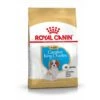ROYAL CANIN Rc Vd Cavalier King Charles Chiot 1,5kg -Flamingo || ROYAL CANIN || Trixie Soldes Boutique 8efc225f9d7afdabee98626209e68badf39ac3f22f2368f9050efd16d02f32cb
