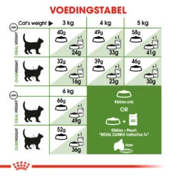 Royal Canin Outdoor 7+ Pour Chat 10kg 5 Royal Canin Outdoor 7+ Pour Chat 10kg -Flamingo || ROYAL CANIN || Trixie Soldes Boutique 8f7984f3cf73234e0ce45b883553167df5187de81e69656a7c70a1be5abe336f