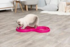 Trixie Jeu Pour Chat Flashing Ball Race 65 X 31 Cm -Flamingo || ROYAL CANIN || Trixie Soldes Boutique 92edef64fa1673f9ad39d2ed5c93ab26b693b9000b77e9bf1adc99d68473fd0b