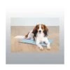 Trixie Matelas Rafraichissant -Flamingo || ROYAL CANIN || Trixie Soldes Boutique 93c9923a8b8c4684c5225d57f2a6c755ad5875899f7063ce42e188eeca783c0c