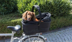 Trixie Panier De Vélo Pour Porte-bagage Large 29 × 49 × 60 Cm -Flamingo || ROYAL CANIN || Trixie Soldes Boutique 9df5aa14ef615c0e89bc0513352abd0522d07e925fc161455dcfb790d23a58cb