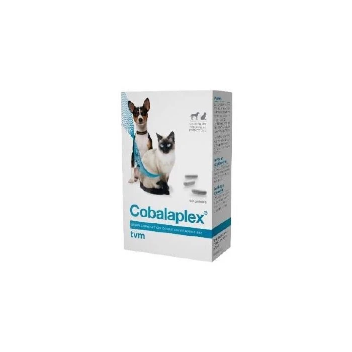 Cobalaplex 60 Gélules 3 Cobalaplex 60 Gélules