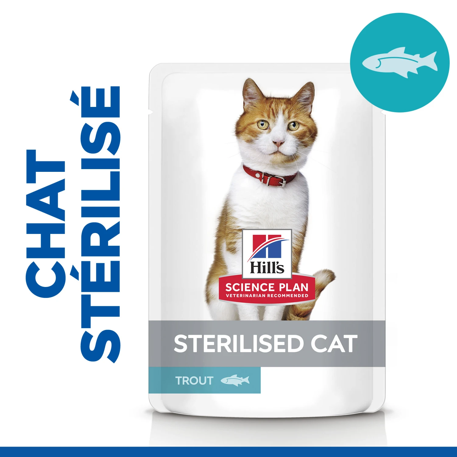Hill's Science Plan Adult Sterilised Croquettes Et Boîtes Pour Chat Stérilisé 14 Hill's Science Plan Adult Sterilised Croquettes Et Boîtes Pour Chat Stérilisé – Image 12