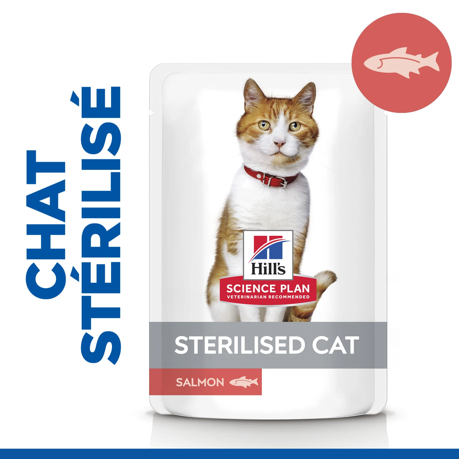 Hill's Science Plan Adult Sterilised Croquettes Et Boîtes Pour Chat Stérilisé 15 Hill's Science Plan Adult Sterilised Croquettes Et Boîtes Pour Chat Stérilisé – Image 13