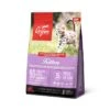 Orijen Kitten -Flamingo || ROYAL CANIN || Trixie Soldes Boutique Orijen Kitten 1