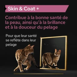 Purina PRO PLAN SKIN & COAT+ CHAT ALIMENT COMPLEMENTAIRE - 135G -Flamingo || ROYAL CANIN || Trixie Soldes Boutique PRO PLAN SKIN COAT CAT SUPPLEMENT 135G 5 FR