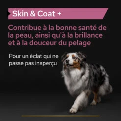 Purina PRO PLAN SKIN & COAT+ CHIEN ALIMENT COMPLEMENTAIRE - 225G -Flamingo || ROYAL CANIN || Trixie Soldes Boutique PRO PLAN SKIN COAT DOG SUPPLEMENT 225G 5 FR