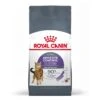 Royal Canin Appetite Control Pour Chat 2kg -Flamingo || ROYAL CANIN || Trixie Soldes Boutique Royal Canin Appetite Control Care Cat 1 2