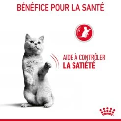Royal Canin Appetite Control Pour Chat 2kg 19 Royal Canin Appetite Control Pour Chat 2kg -Flamingo || ROYAL CANIN || Trixie Soldes Boutique Royal Canin Appetite Control Care Chat FR 07 1