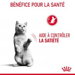 Royal Canin Appetite Control En Sauce Pour Chat 12 Sachets De 85g -Flamingo || ROYAL CANIN || Trixie Soldes Boutique Royal Canin Appetite Control Care Gravy Chat FR 08