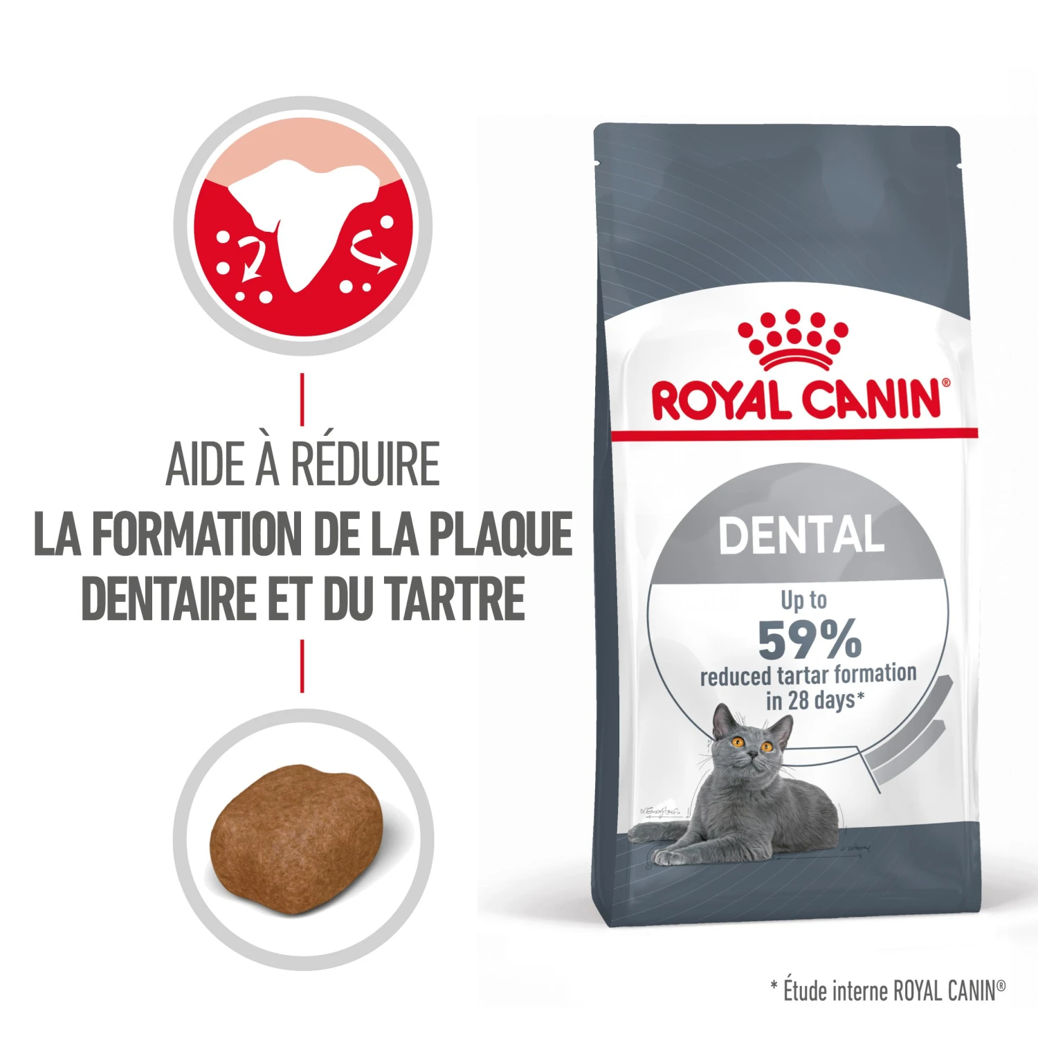 Royal Canin Dental Care Pour Chat 1,5kg 4 Royal Canin Dental Care Pour Chat 1,5kg – Image 2