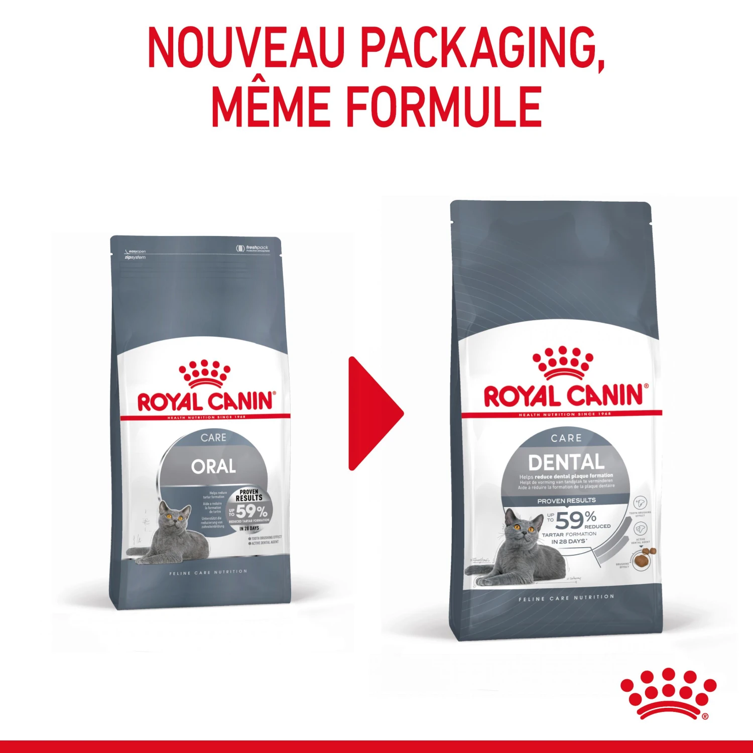 Royal Canin Dental Care Pour Chat 1,5kg 5 Royal Canin Dental Care Pour Chat 1,5kg – Image 3