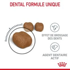Royal Canin Dental Care Pour Chat 3,5kg -Flamingo || ROYAL CANIN || Trixie Soldes Boutique Royal Canin Dental Care Chat FR 04