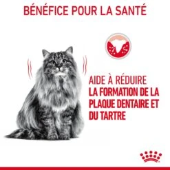 Royal Canin Dental Care Pour Chat 1,5kg 17 Royal Canin Dental Care Pour Chat 1,5kg -Flamingo || ROYAL CANIN || Trixie Soldes Boutique Royal Canin Dental Care Chat FR 06 1