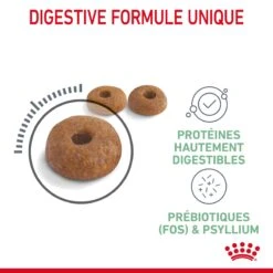 Royal Canin Digestive Care Pour Chat 2kg -Flamingo || ROYAL CANIN || Trixie Soldes Boutique Royal Canin Digestive Care Chat FR 05 1