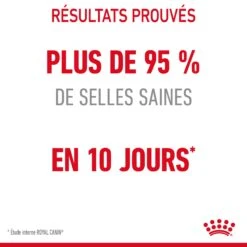 Royal Canin Digestive Care Pour Chat 2kg -Flamingo || ROYAL CANIN || Trixie Soldes Boutique Royal Canin Digestive Care Chat FR 06 1