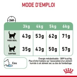 Royal Canin Digestive Care Pour Chat 2kg -Flamingo || ROYAL CANIN || Trixie Soldes Boutique Royal Canin Digestive Care Chat FR 09 1