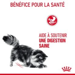 Royal Canin Digestive Care En Sauce Pour Chat 12 Sachets De 85g -Flamingo || ROYAL CANIN || Trixie Soldes Boutique Royal Canin Digestive Care Gravy Chat FR 09