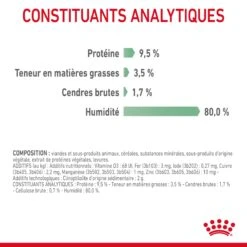 Royal Canin Digestive Care En Sauce Pour Chat 12 Sachets De 85g -Flamingo || ROYAL CANIN || Trixie Soldes Boutique Royal Canin Digestive Care Gravy Chat FR 10