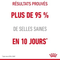 Royal Canin Digestive Care En Sauce Pour Chat 12 Sachets De 85g -Flamingo || ROYAL CANIN || Trixie Soldes Boutique Royal Canin Digestive Care Gravy Chat FR 14