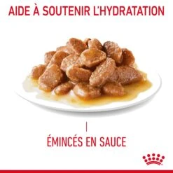 Royal Canin Hair & Skin Care En Sauce Pour Chat 12 Sachets De 85g -Flamingo || ROYAL CANIN || Trixie Soldes Boutique Royal Canin Hair Skin Care Gravy Chat FR 07