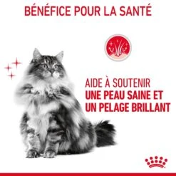 Royal Canin Hair & Skin Care En Sauce Pour Chat 12 Sachets De 85g -Flamingo || ROYAL CANIN || Trixie Soldes Boutique Royal Canin Hair Skin Care Gravy Chat FR 08