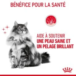 Royal Canin Hair & Skin Care Pour Chat 10kg -Flamingo || ROYAL CANIN || Trixie Soldes Boutique Royal Canin Hair skin Care Chat FR 07