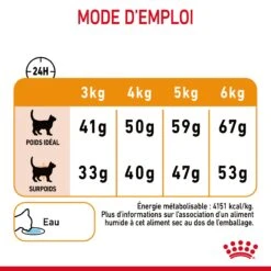 Royal Canin Hair & Skin Care Pour Chat 4kg -Flamingo || ROYAL CANIN || Trixie Soldes Boutique Royal Canin Hair skin Care Chat FR 09 2