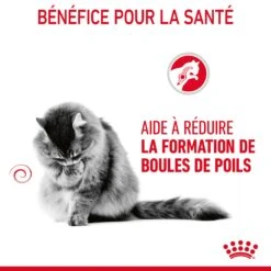 Royal Canin Hairball Care Pour Chat 2kg -Flamingo || ROYAL CANIN || Trixie Soldes Boutique Royal Canin Hairball Care Chat FR 07 1