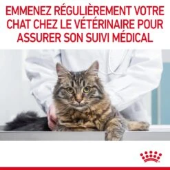 Royal Canin Light Weight Care Pour Chat 3kg -Flamingo || ROYAL CANIN || Trixie Soldes Boutique Royal Canin Light Weight Chat FR 11 1