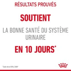 Royal Canin Urinary Care Pour Chat 10kg -Flamingo || ROYAL CANIN || Trixie Soldes Boutique Royal Canin Urinary Care Chat FR 06 2