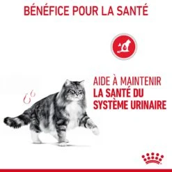 Royal Canin Urinary Care Pour Chat 4kg -Flamingo || ROYAL CANIN || Trixie Soldes Boutique Royal Canin Urinary Care Chat FR 07