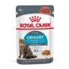 Royal Canin Urinary Care En Sauce Pour Chat 12 Sachets De 85g 1 Royal Canin Urinary Care En Sauce Pour Chat 12 Sachets De 85g -Flamingo || ROYAL CANIN || Trixie Soldes Boutique Royal Canin Urinary Care Gravy Cat 1 1