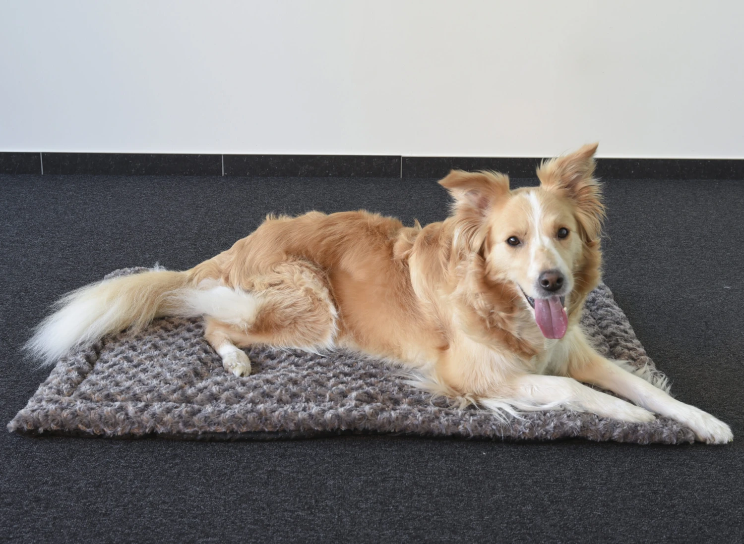 Flamingo Coussin Cuddly Plat Rectangulaire Taupe 85,5x51x2cm 5 Flamingo Coussin Cuddly Plat Rectangulaire Taupe 85,5x51x2cm – Image 3